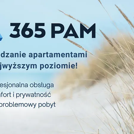 Czarna Perła W Gąskach - 365pam *
